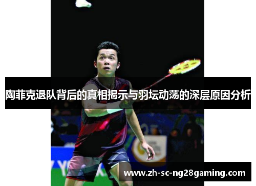 陶菲克退队背后的真相揭示与羽坛动荡的深层原因分析