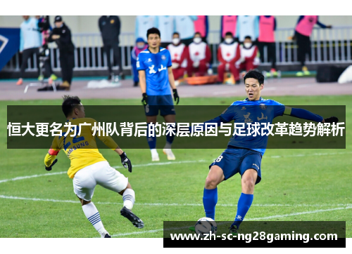 恒大更名为广州队背后的深层原因与足球改革趋势解析