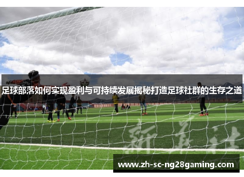 足球部落如何实现盈利与可持续发展揭秘打造足球社群的生存之道